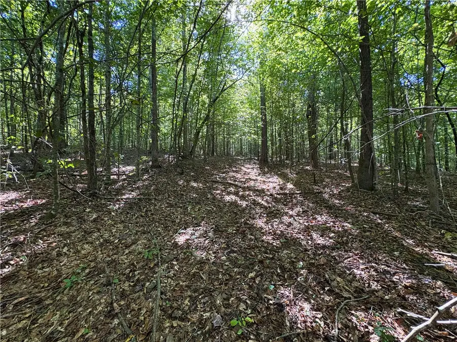 000 Panther Creek Road, Mulberry, AR 72854 - #2