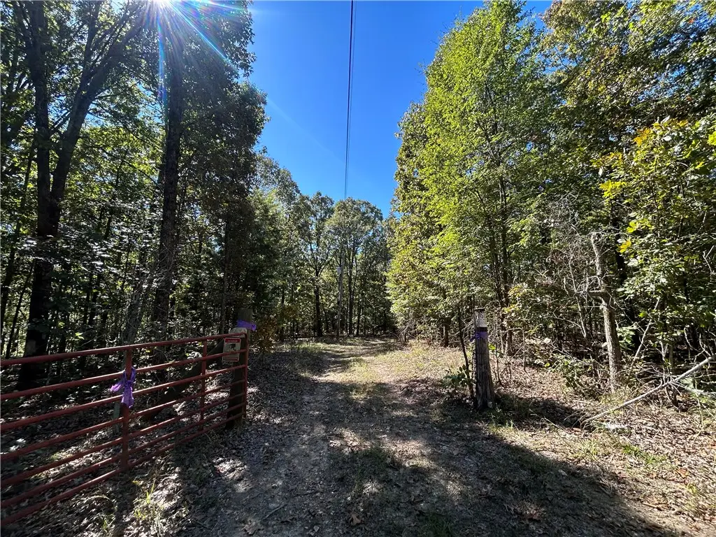 859 Browns Creek, South Union, AR 72459 - #1