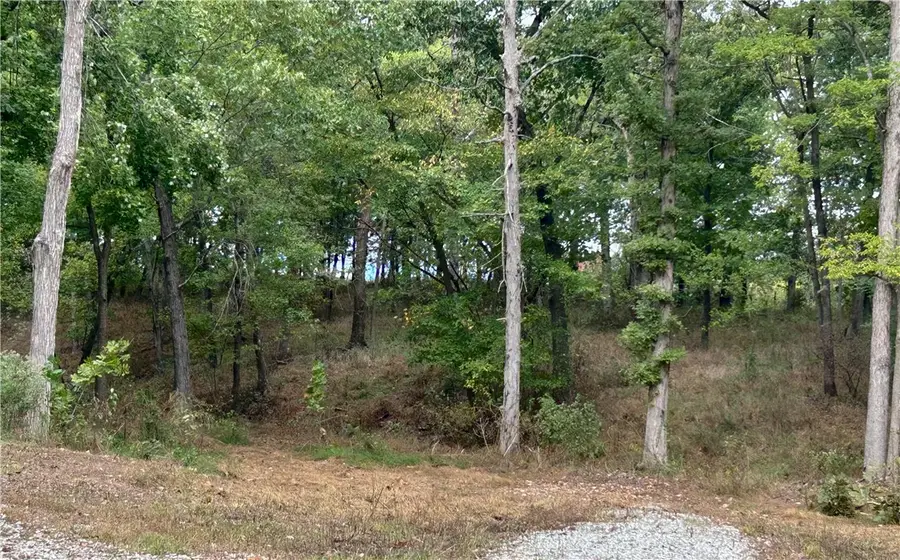 10107 Noah Road #Tract 3, Gravette, AR 72736 - #3