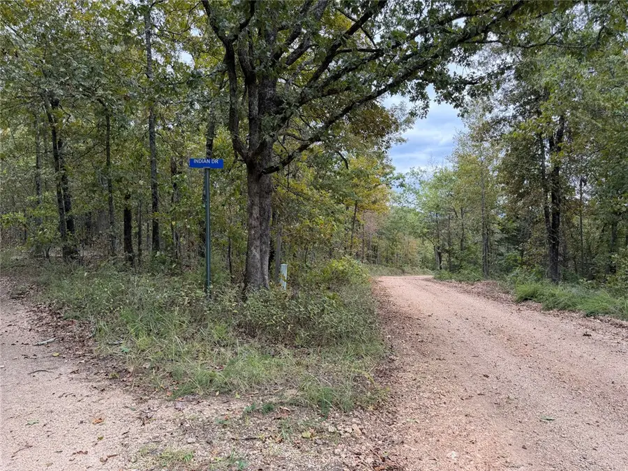 Minnow Road, Saint Joe, AR 72675 - #3