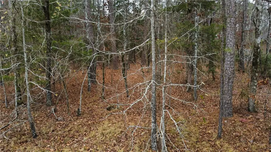 Grandilla Way, Hot Springs Village, AR 71909 - #2