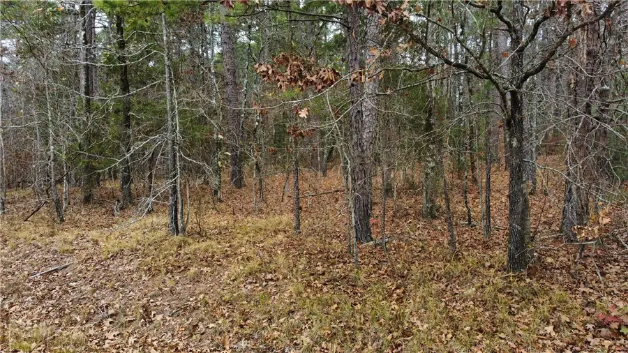 Grandilla Way, Hot Springs Village, AR 71909 - #3