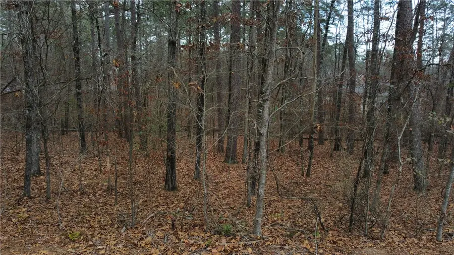 Telon Way, Hot Springs Village, AR 71909 - #3