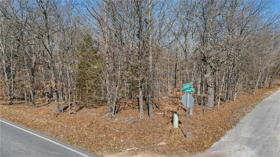 Lot 1 Tarbolten Lane, Bella Vista, AR 72715 - #2