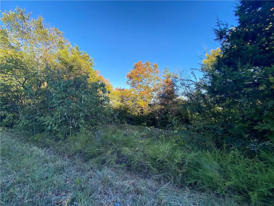 Off Stonington Road, Omaha, AR 72662 - #2