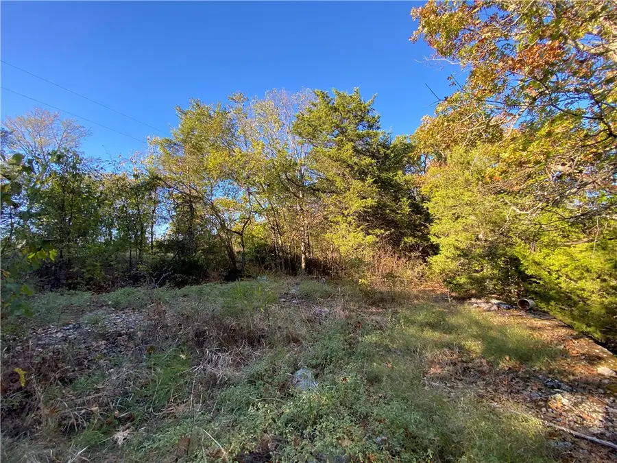 Off Stonington Road, Omaha, AR 72662 - #3