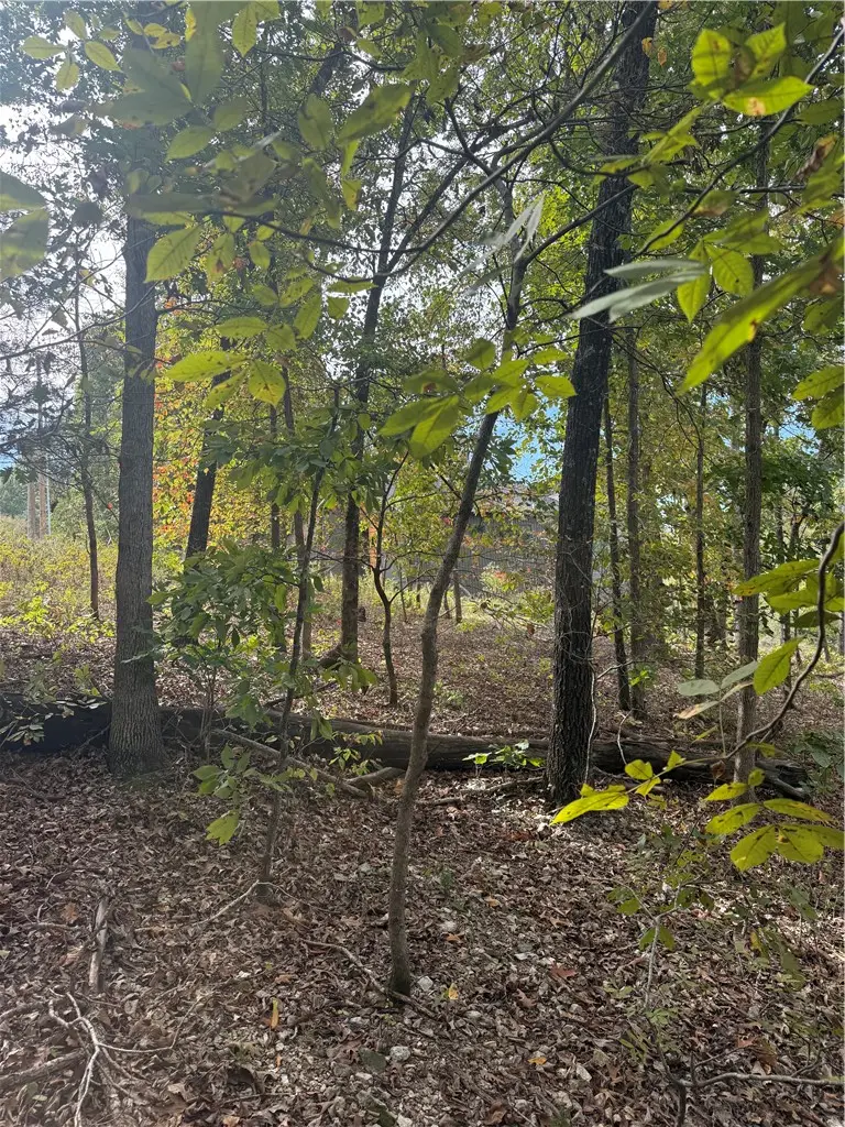 18 Hessle Circle, Bella Vista, AR 72714 - #2