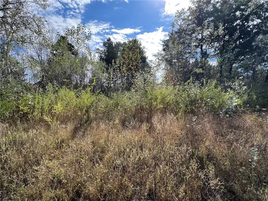 TBD Dove Street, Lead Hill, AR 72644 - #2