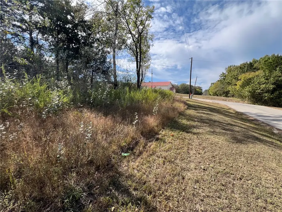 TBD Dove Street, Lead Hill, AR 72644 - #3