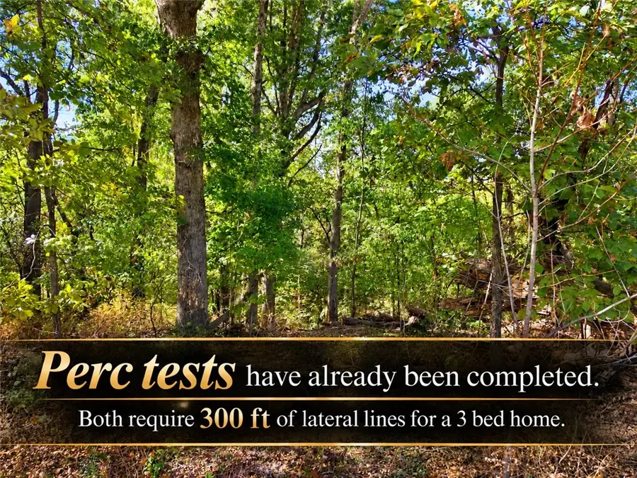 Lots 5 & 6 Rosenheath Circle, Bella Vista, AR 72715 - #2
