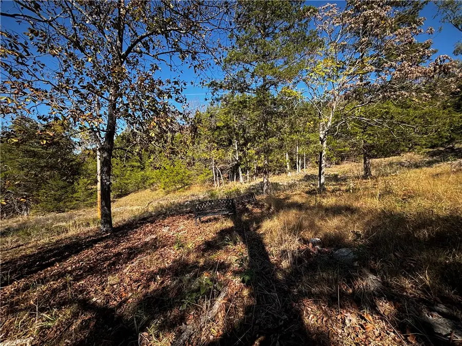 111 Appaloosa Drive, Holiday Island, AR 72631 - #3