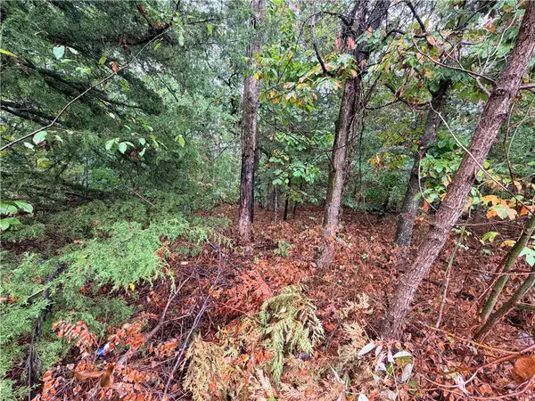 TBD Skye Drive, Bella Vista, AR 72715