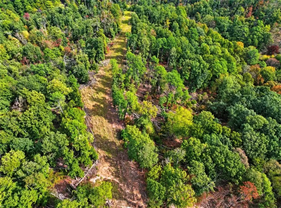 Rosebud Lane, Rogers, AR 72756 - #2