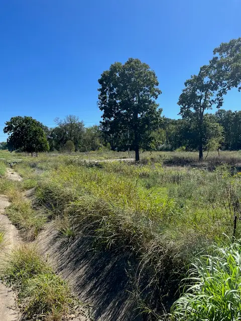 3847, 3907, 3929, Lot 3 E Robinson Avenue, Springdale, AR 72764