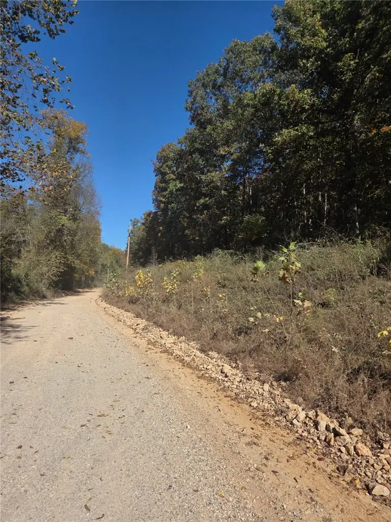 Osage Hog Farm Rd, Siloam Springs, AR 72761 - #2