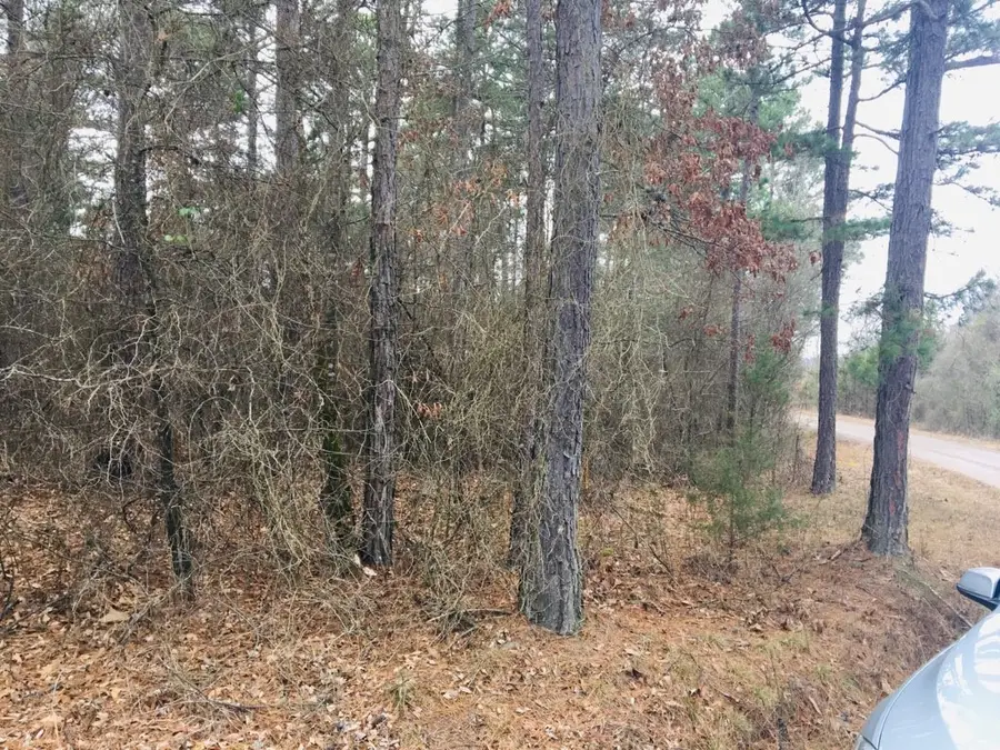 95 Eagles Nest, Cr 1788, London, AR 72847 - Image #2