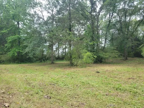 Hankins Drive, Dover, AR 72837