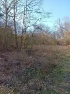 1 3512 Cr Tract 1, Spadra, AR 72830 - #2