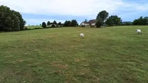 #3