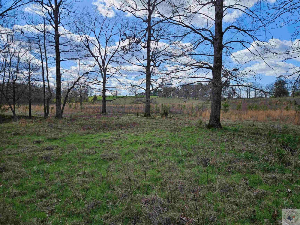 TBD Billstown Rd, Delight, AR 71940 BHGRE