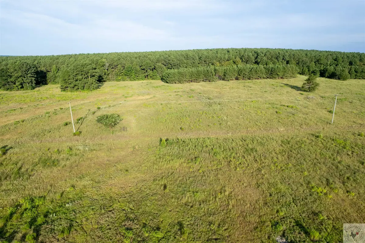 Lake Cou (lot 17) Tx-77, Atlanta, TX 75551 - #1