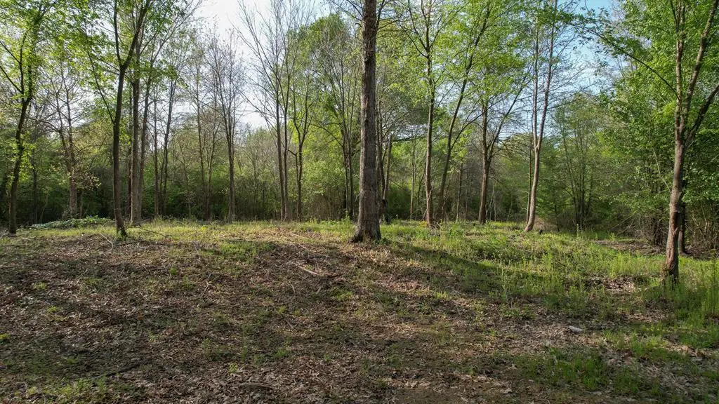 TBD County Road 3213, De Kalb, TX 75559 - Image #1