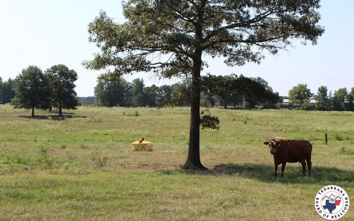 TBD Mc 10 & 268, Fouke, AR 71854 - Image #1