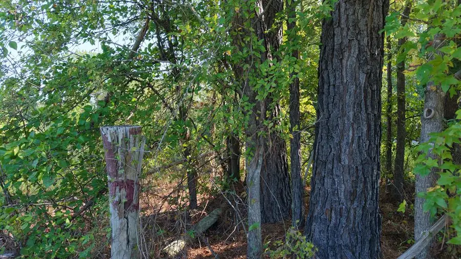 TBD Old Post Rd, Texarkana, AR 71854 - Image #3