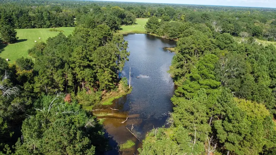 95+/- ac Fm 1701, De Kalb, TX 75559 - Image #2