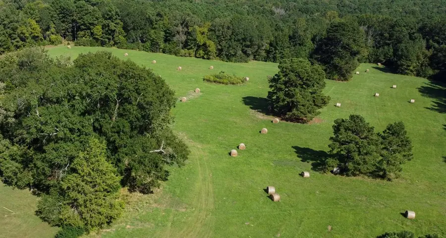 95+/- ac Fm 1701, De Kalb, TX 75559 - Image #3