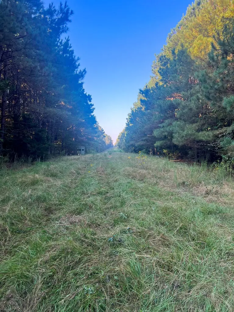 219+- ac Cr 4320, De Kalb, TX 75559 - Image #3