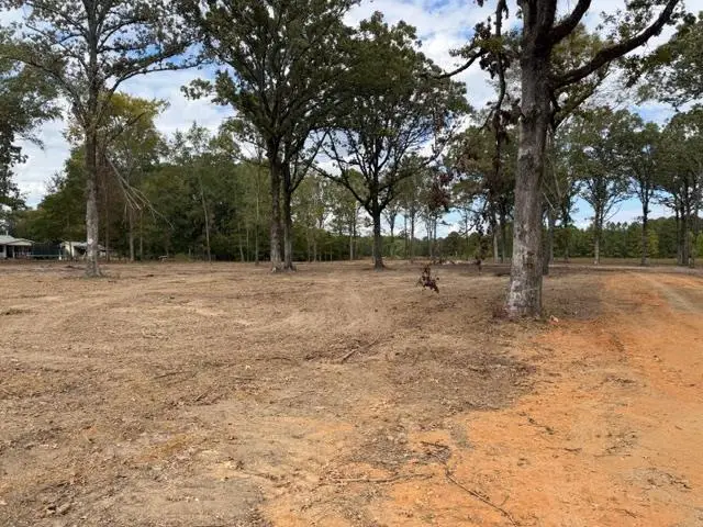 TBD Hwy 53, Taylor, AR 71861 - Image #1