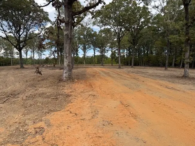 TBD Hwy 53, Taylor, AR 71861 - Image #2