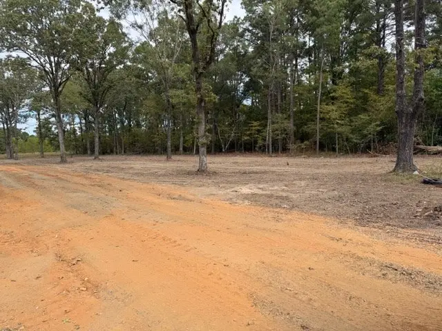 TBD Hwy 53, Taylor, AR 71861 - Image #3