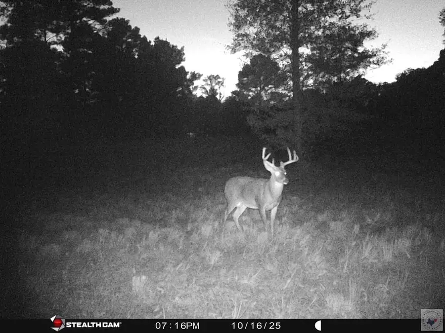 4847 Fm 992, De Kalb, TX 75559 - Image #2