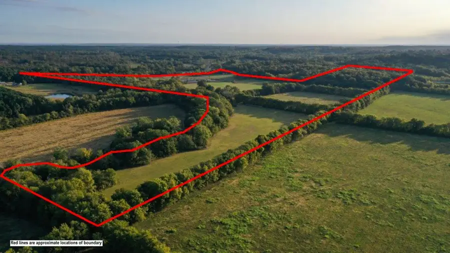 258 Wilson Creek Road, Lockesburg, AR 71846 - Image #3