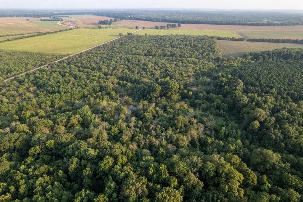 TBD Little River 35 (40 Acres), Johnson, AR 71822 - #1