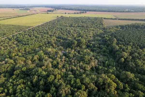 TBD Little River 35 (40 Acres), Ogden, AR 71822