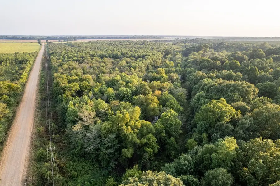 TBD Little River 35 (40 Acres), Johnson, AR 71822 - #3
