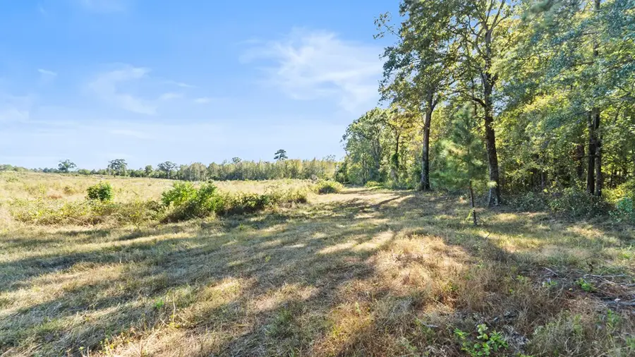 Cr4812 E 544 Cr4812, Atlanta, TX 75556 - Image #3