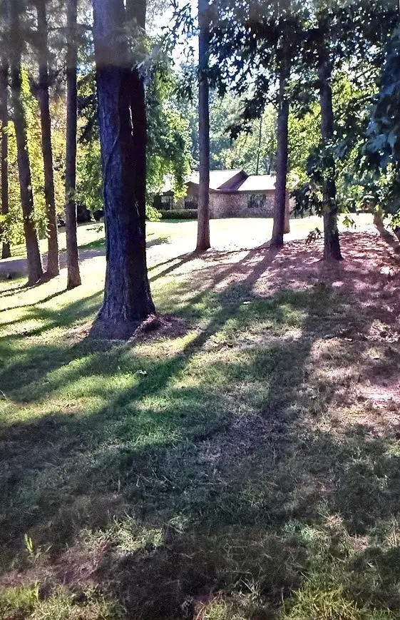 217 Southlake Rd., Saratoga, AR 71859 - Image #2