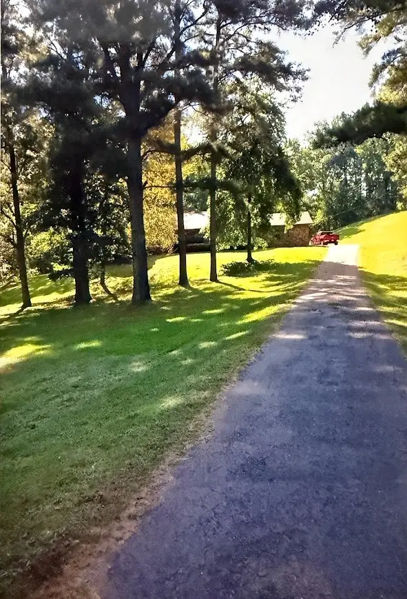 217 Southlake Rd., Saratoga, AR 71859 - Image #3