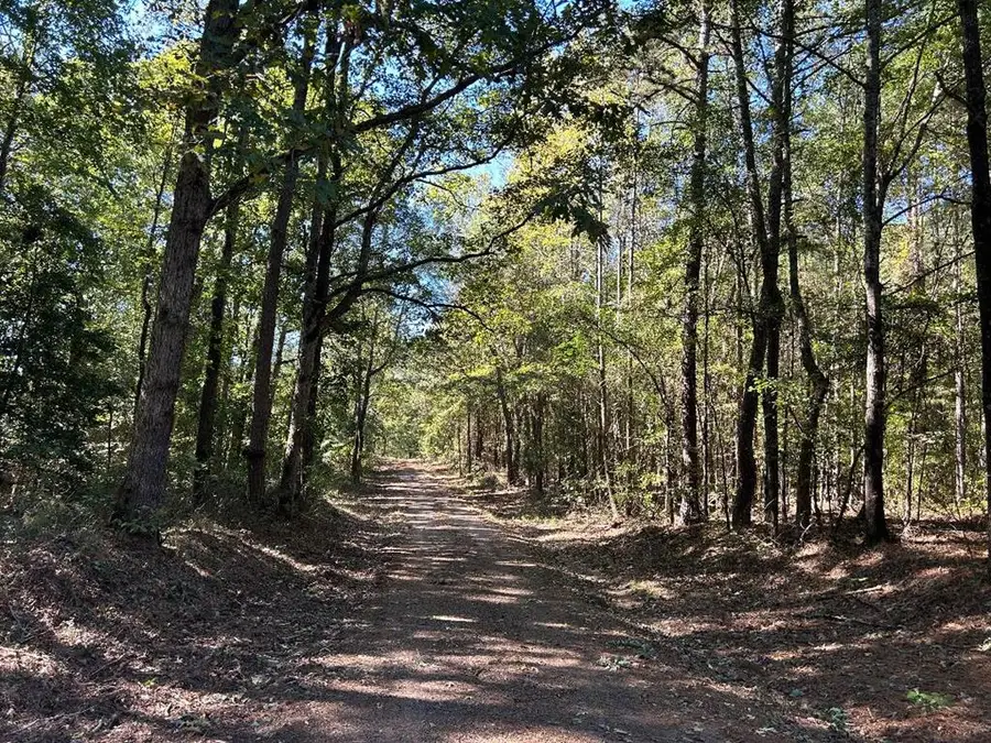 320 Cr 2114, Douglassville, TX 75560 - Image #3