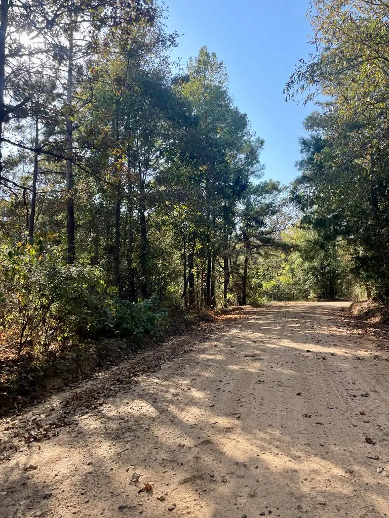 TBD Miller County 186, Doddridge, AR 71834 - Image #1