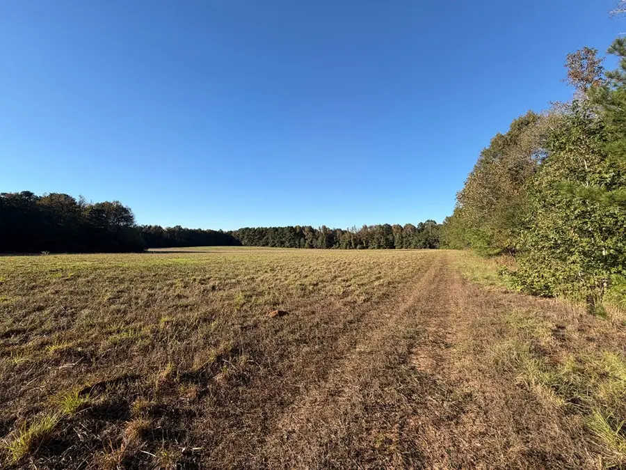 TBD County Road 10, Fouke, AR 71837 - Image #2