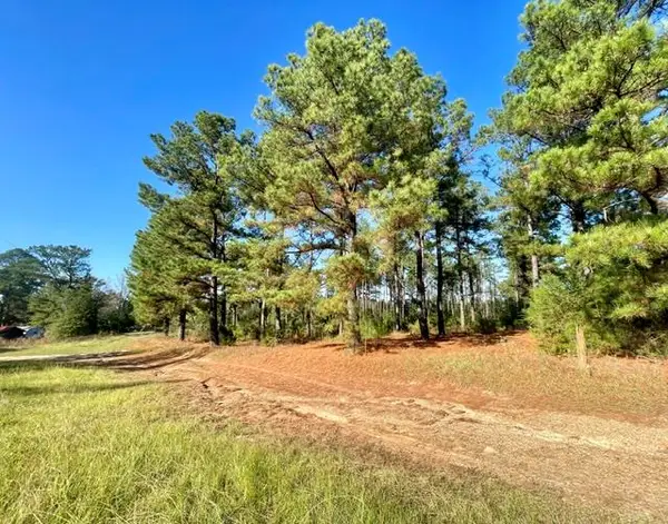 1407 Miller County 3, Doddridge, AR 71834