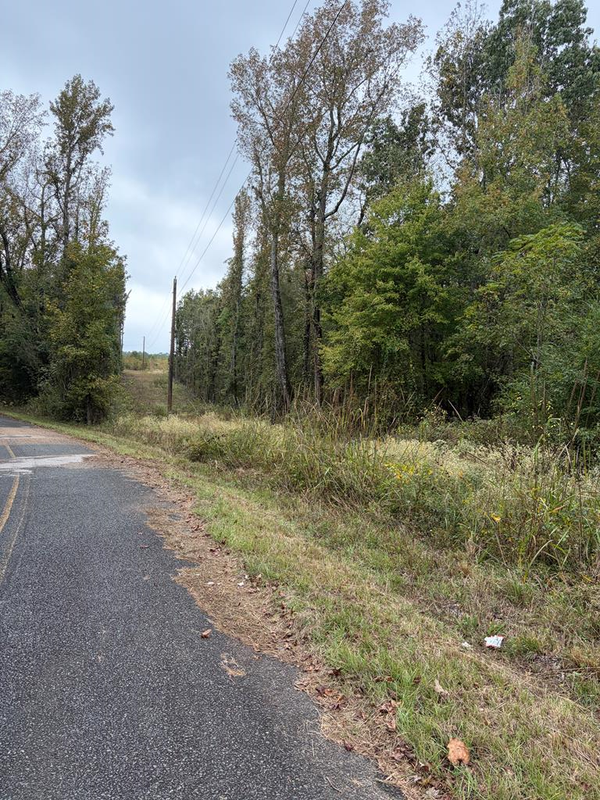 TBD Mc 35, Doddridge, AR 71834