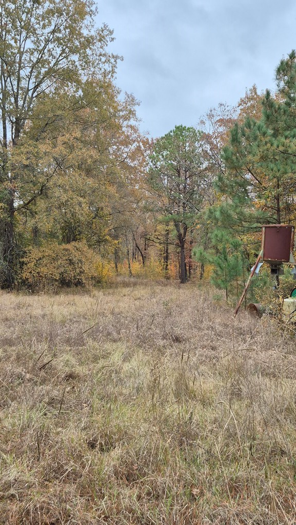 1020 Cr 2215, Detroit, TX 75436 - Image #3