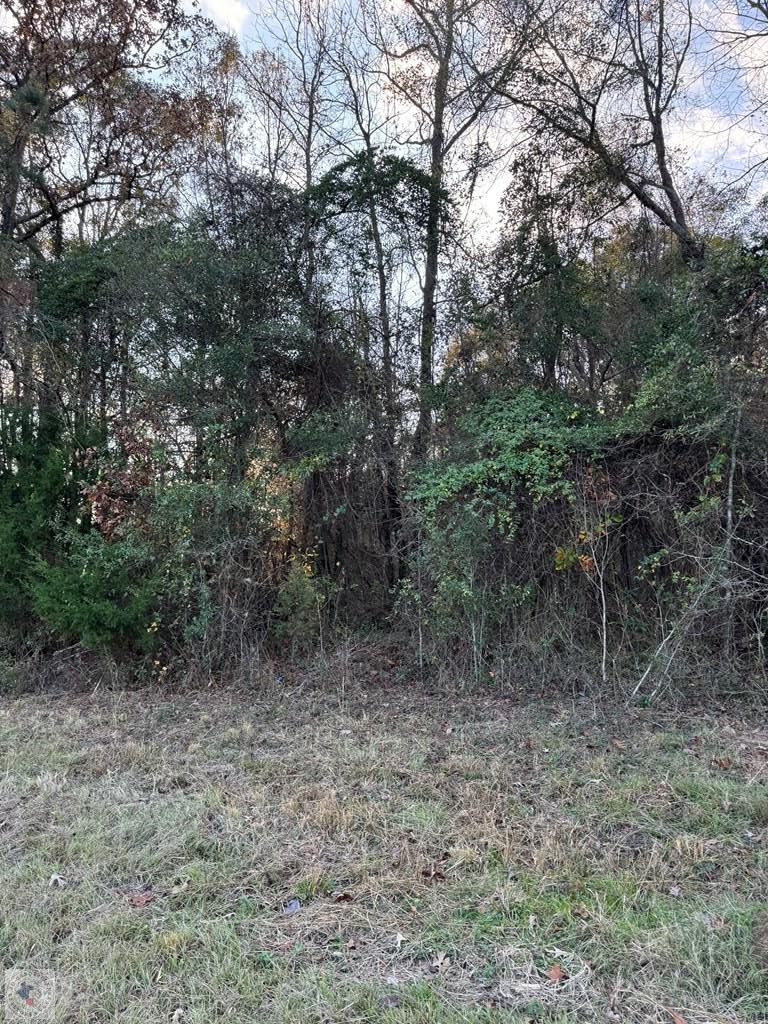 MC 130 E Mc 130, Texarkana, AR 71854 - Image #2