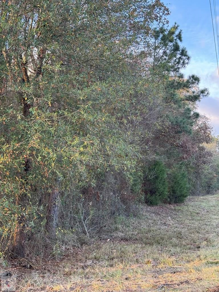 MC 130 E Mc 130, Texarkana, AR 71854 - Image #3